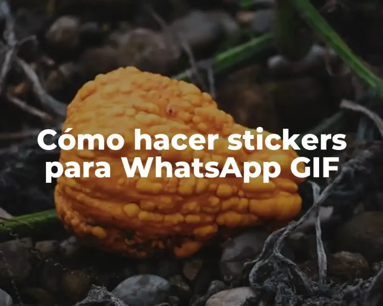 Cómo hacer stickers para WhatsApp GIF