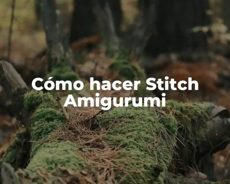 Cómo hacer Stitch Amigurumi