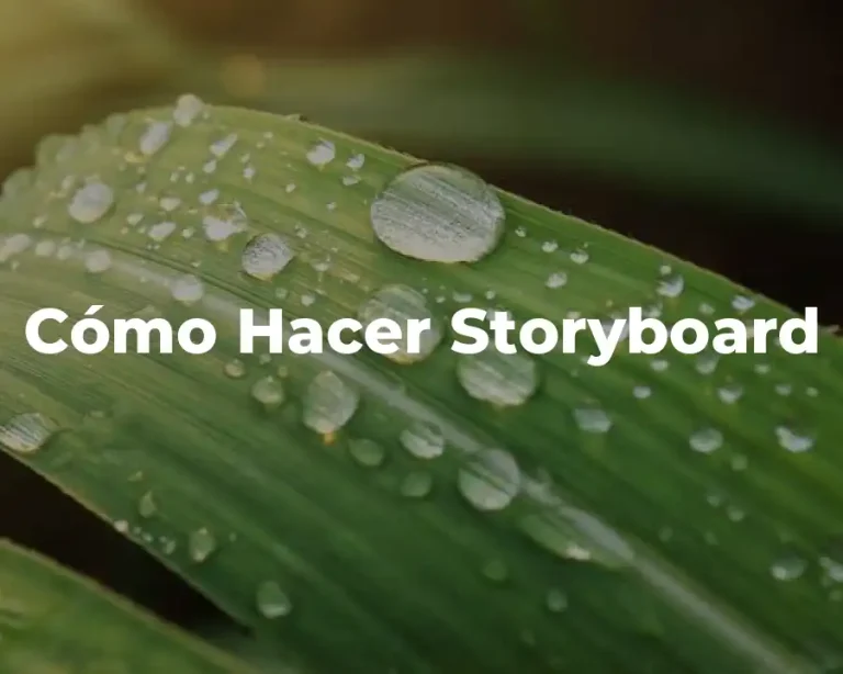 Cómo Hacer Storyboard