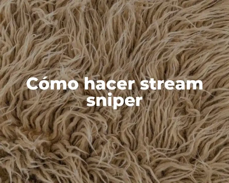 Cómo hacer stream sniper