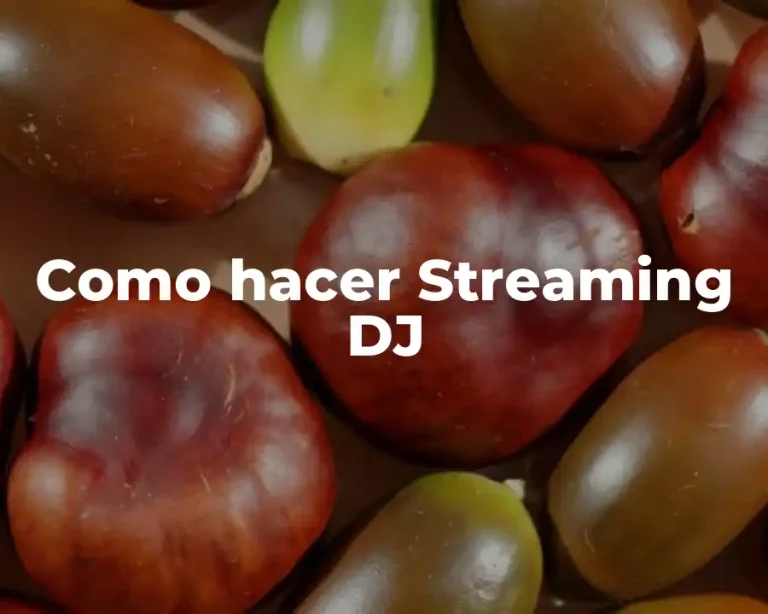 Como hacer Streaming DJ