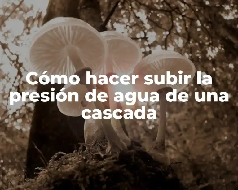 Cómo hacer subir la presión de agua de una cascada