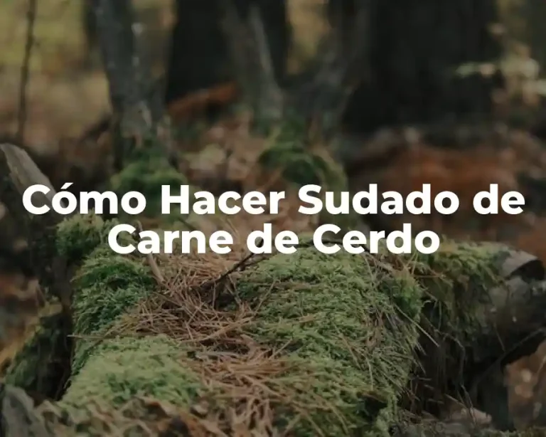 Cómo Hacer Sudado de Carne de Cerdo
