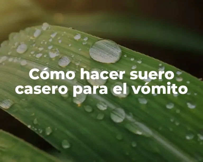 Cómo hacer suero casero para el vómito