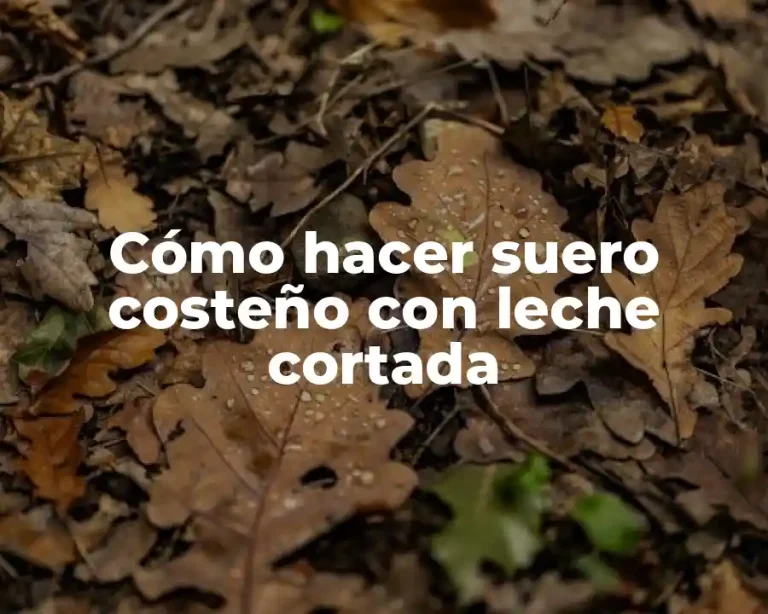 Cómo hacer suero costeño con leche cortada