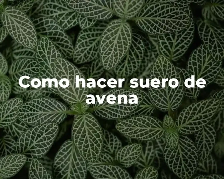 Como hacer suero de avena