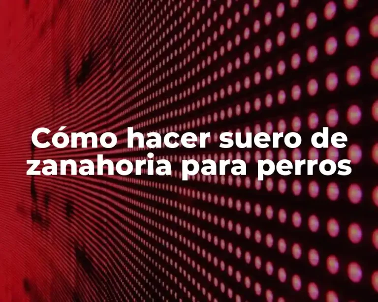 Cómo hacer suero de zanahoria para perros