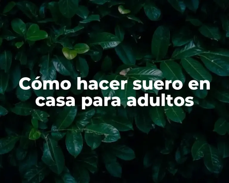 Cómo hacer suero en casa para adultos
