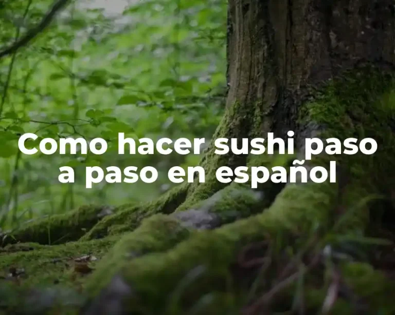 Como hacer sushi paso a paso en español
