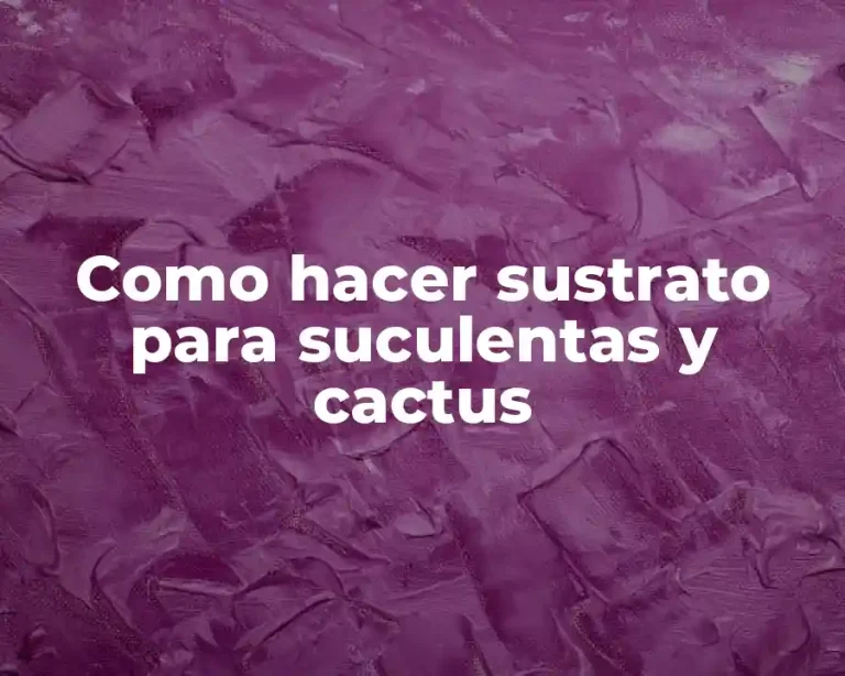 Como hacer sustrato para suculentas y cactus