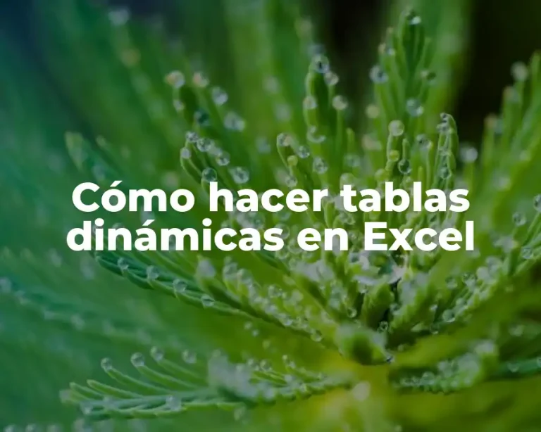 Cómo hacer tablas dinámicas en Excel