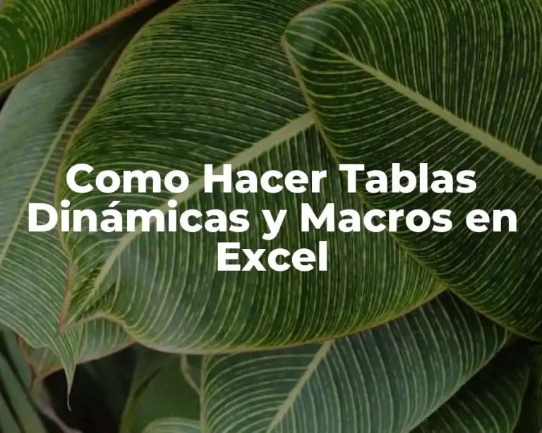 Como Hacer Tablas Dinámicas y Macros en Excel