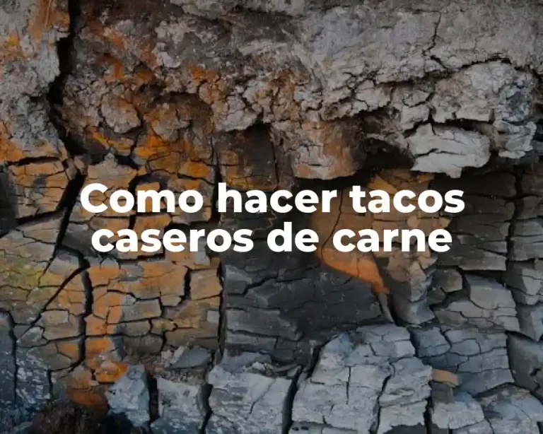 Como hacer tacos caseros de carne