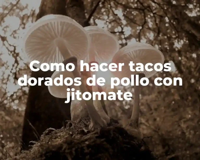 Como hacer tacos dorados de pollo con jitomate