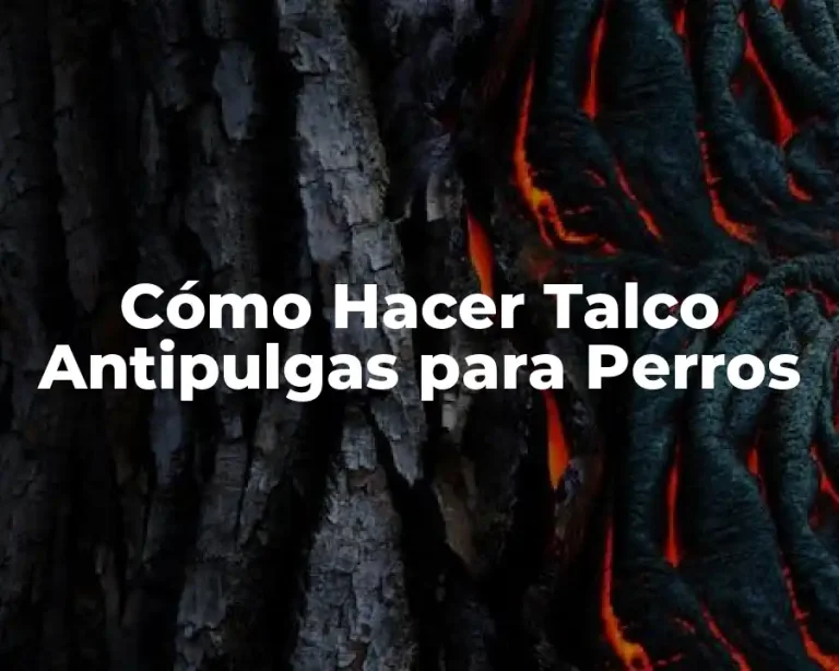 Cómo Hacer Talco Antipulgas para Perros