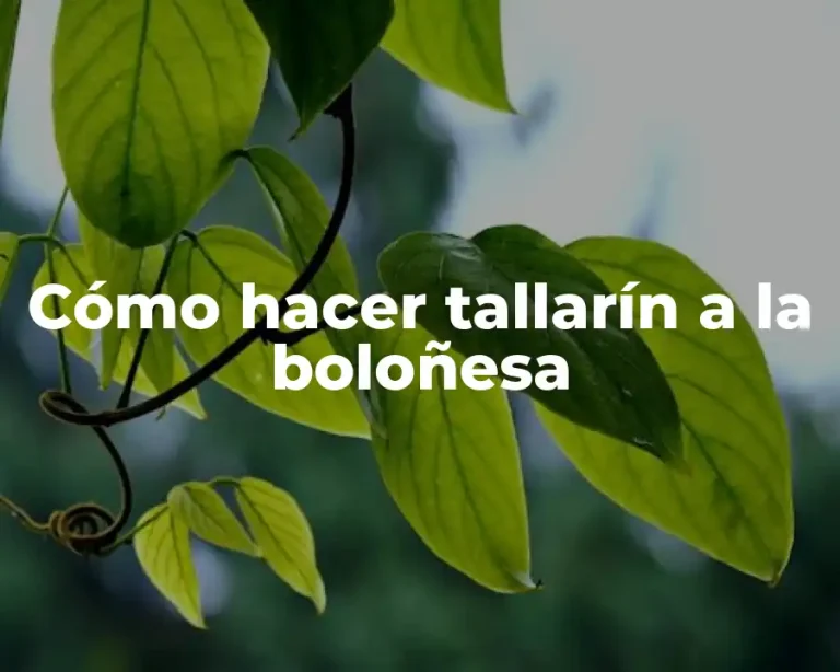 Cómo hacer tallarín a la boloñesa