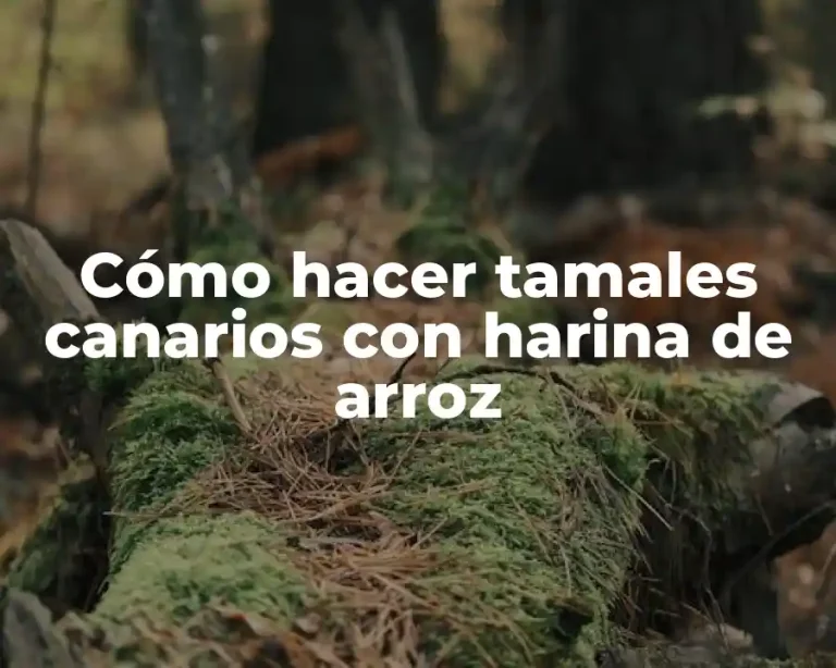 Cómo hacer tamales canarios con harina de arroz
