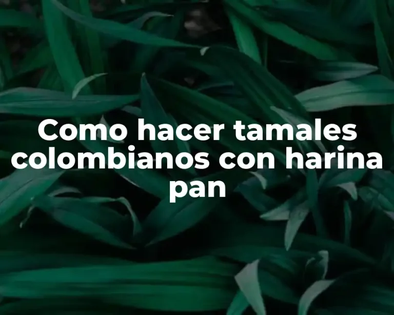 Como hacer tamales colombianos con harina pan