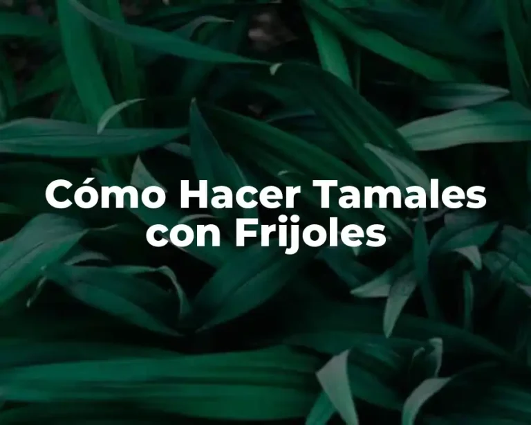 Cómo Hacer Tamales con Frijoles