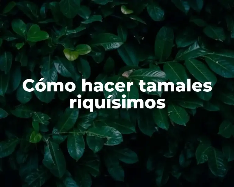 Cómo hacer tamales riquísimos