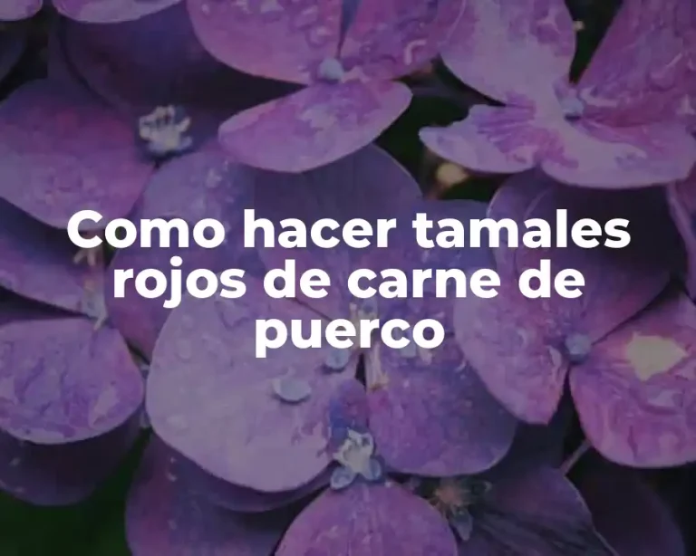Como hacer tamales rojos de carne de puerco