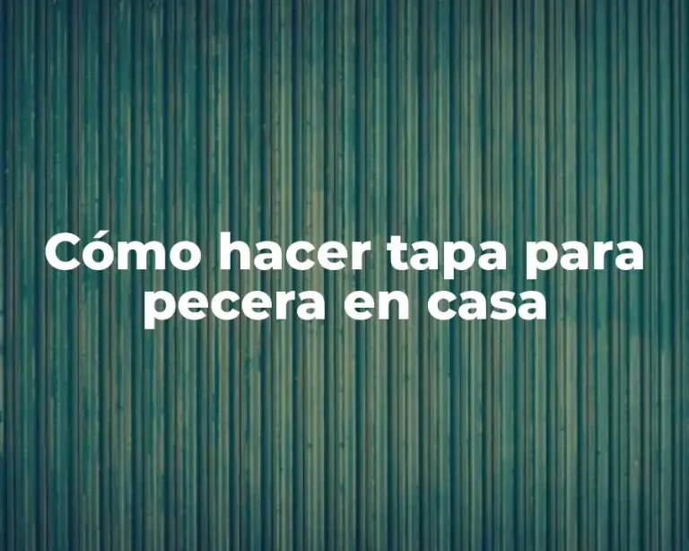 Cómo hacer tapa para pecera en casa