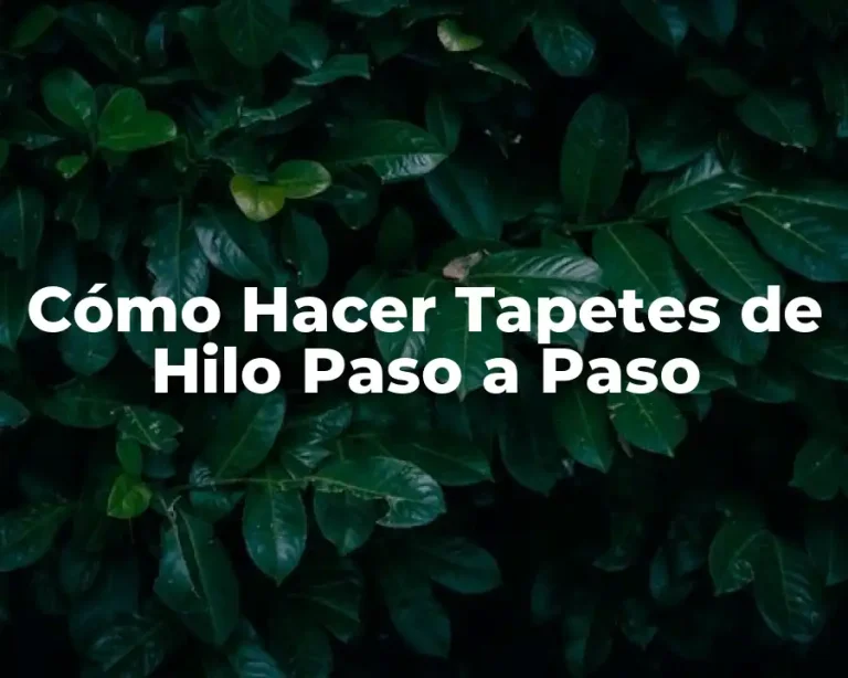 Cómo Hacer Tapetes de Hilo Paso a Paso