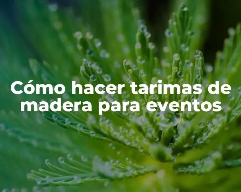 Cómo hacer tarimas de madera para eventos