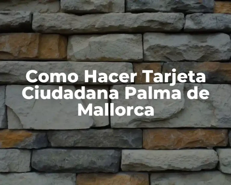 Como Hacer Tarjeta Ciudadana Palma de Mallorca