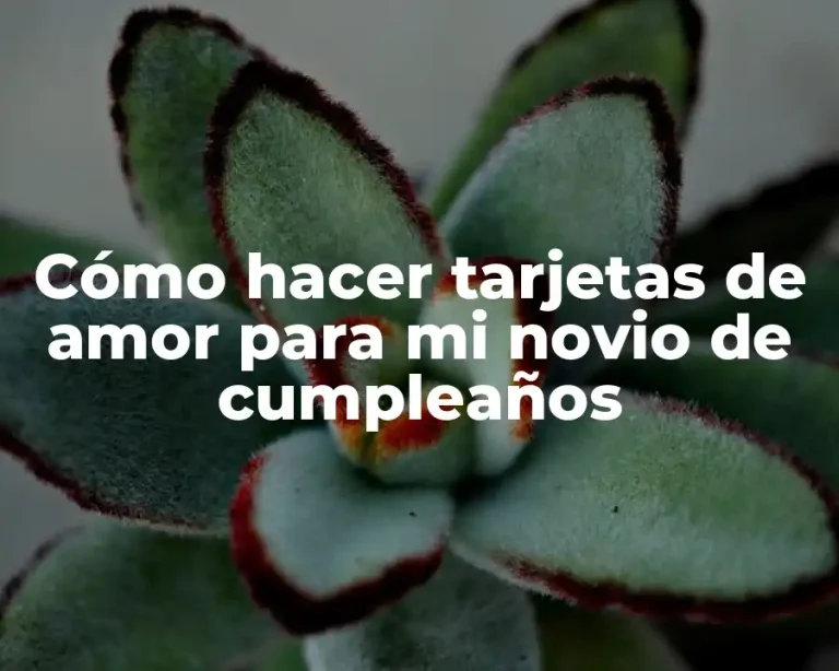 Cómo hacer tarjetas de amor para mi novio de cumpleaños