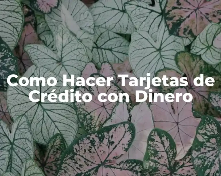 Como Hacer Tarjetas de Crédito con Dinero