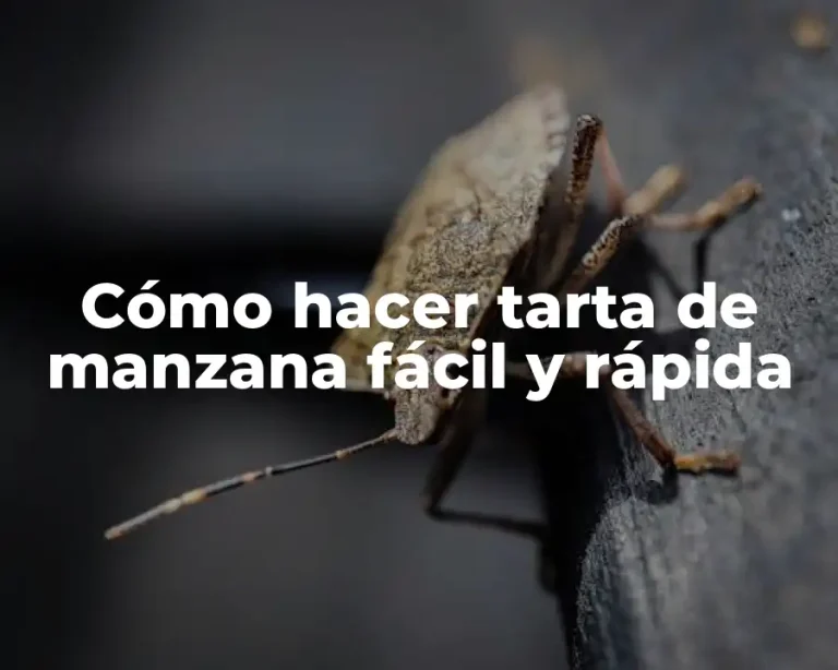 Cómo hacer tarta de manzana fácil y rápida