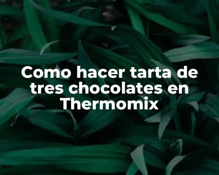 Como hacer tarta de tres chocolates en Thermomix
