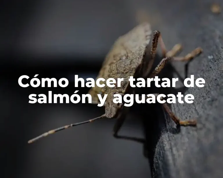 Cómo hacer tartar de salmón y aguacate