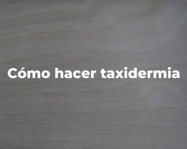 Cómo hacer taxidermia