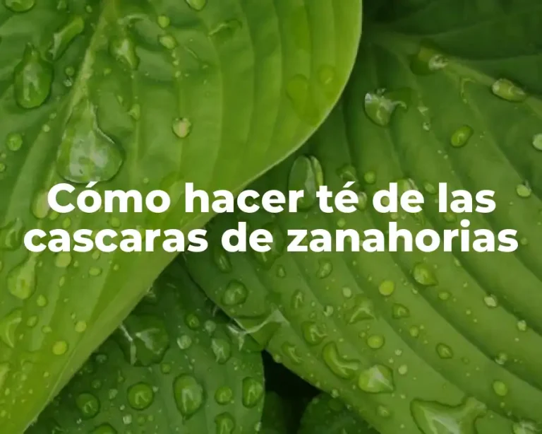 Cómo hacer té de las cascaras de zanahorias