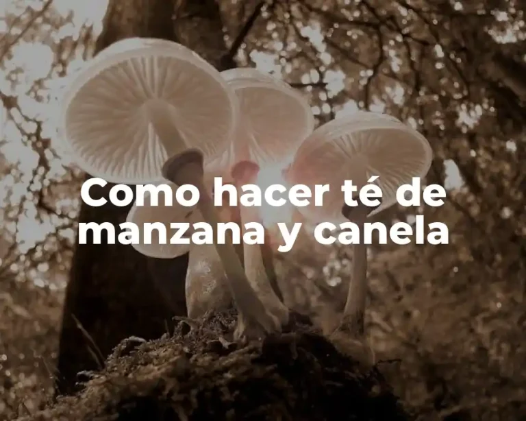 Como hacer té de manzana y canela