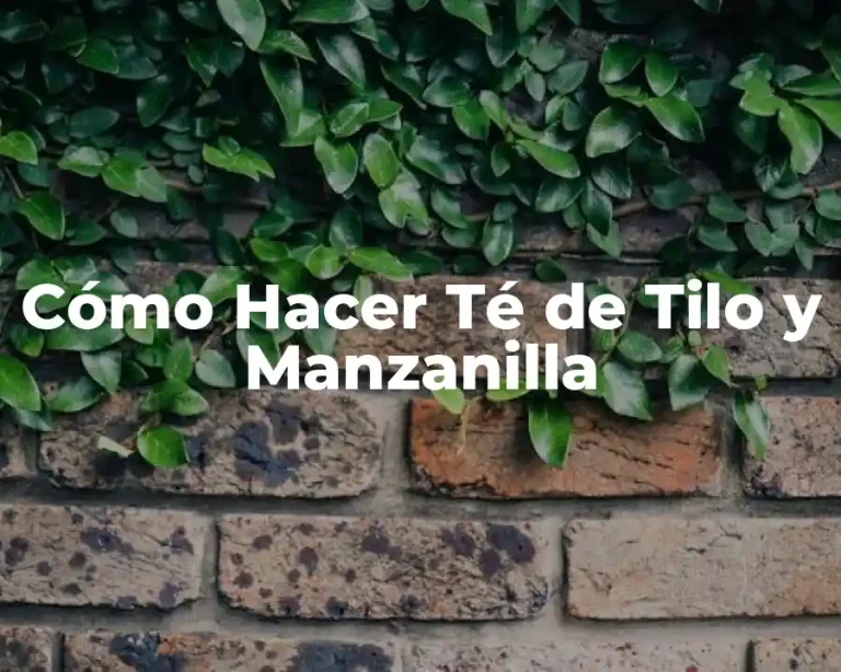 Cómo Hacer Té de Tilo y Manzanilla