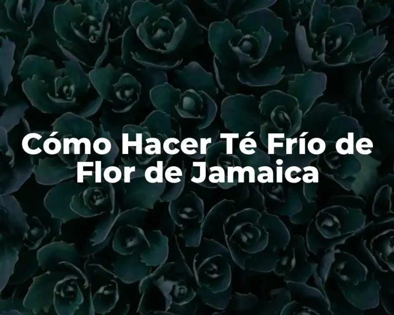 Cómo Hacer Té Frío de Flor de Jamaica