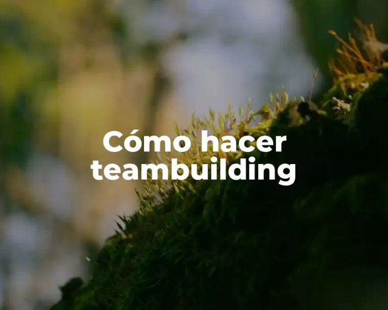 Cómo hacer teambuilding