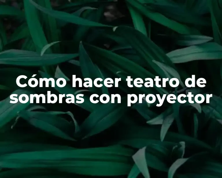 Cómo hacer teatro de sombras con proyector