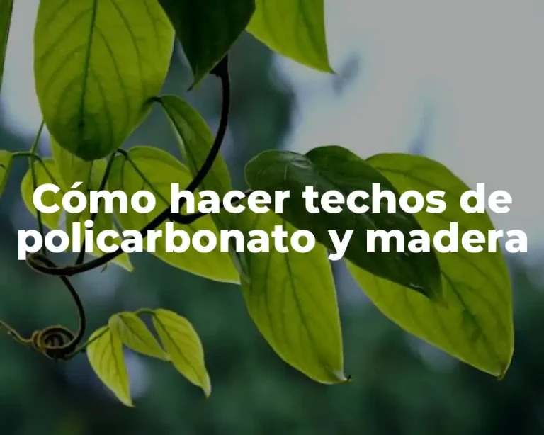 Cómo hacer techos de policarbonato y madera