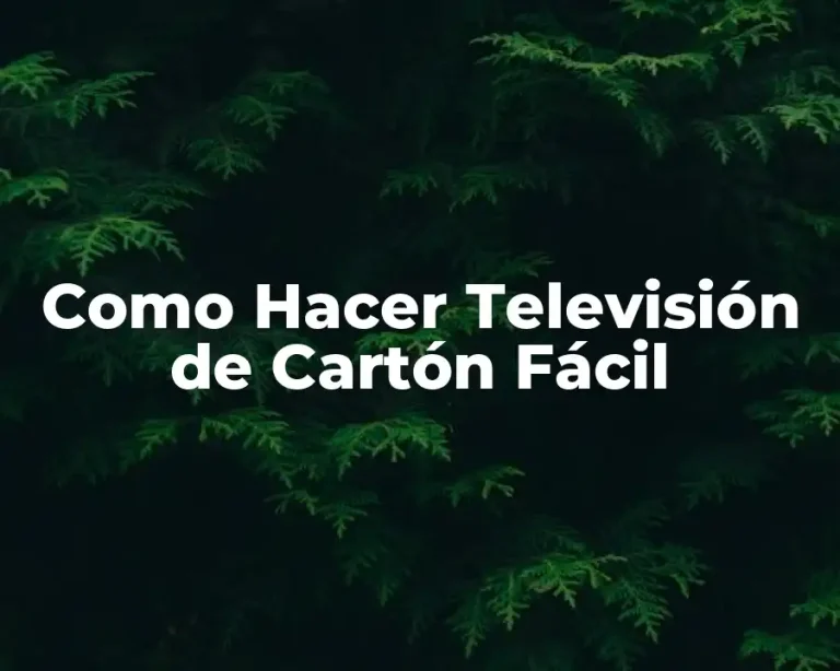 Como Hacer Televisión de Cartón Fácil