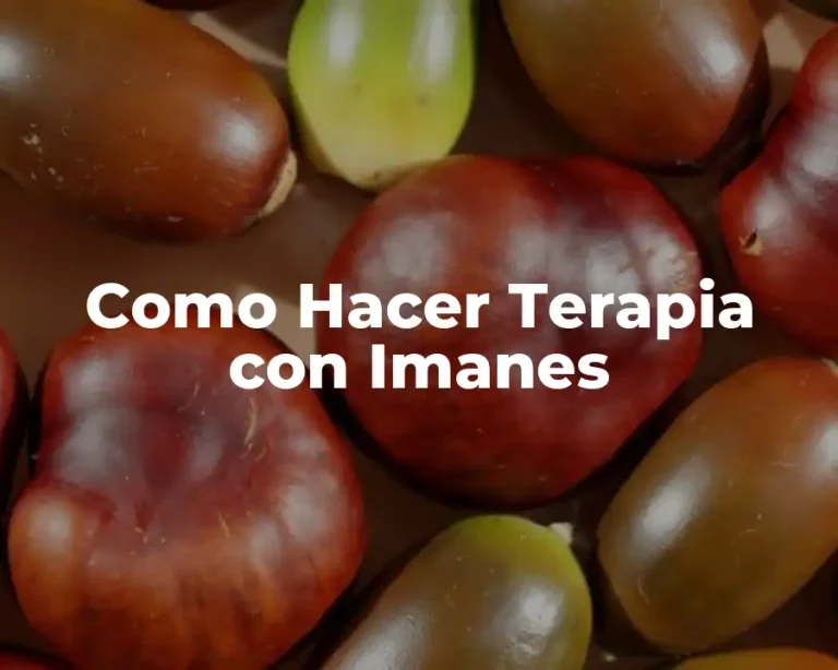 Como Hacer Terapia con Imanes