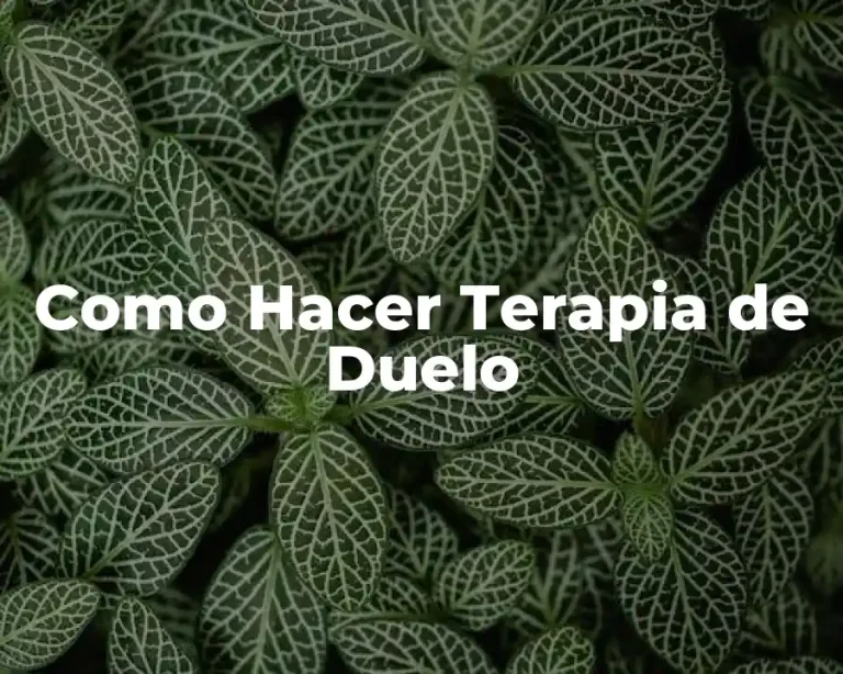 Como Hacer Terapia de Duelo