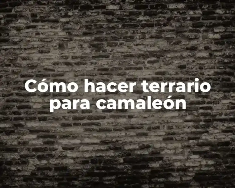 Cómo hacer terrario para camaleón