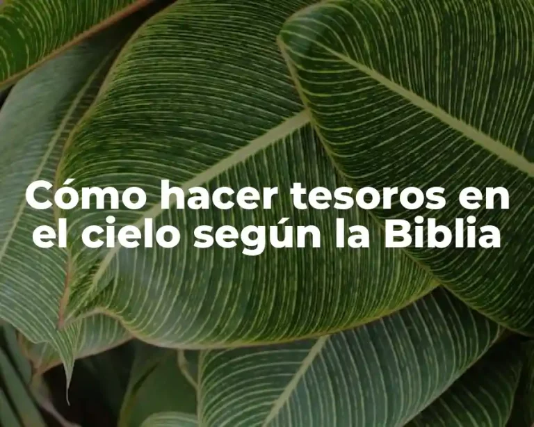 Cómo hacer tesoros en el cielo según la Biblia