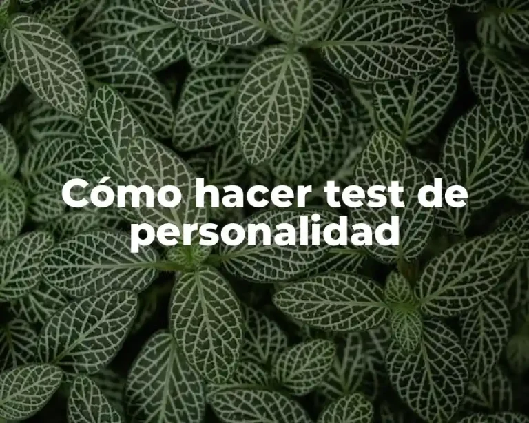 Cómo hacer test de personalidad