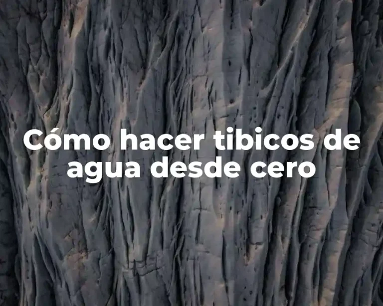 Cómo hacer tibicos de agua desde cero