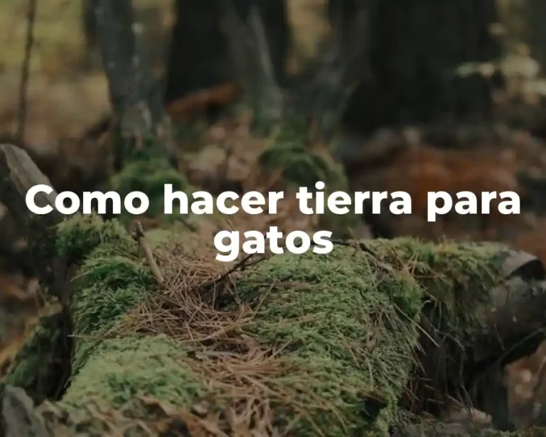 Como hacer tierra para gatos